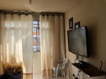 imagem 2 - Apartamento - Padrão imagem 2 - Apartamento - Padrão