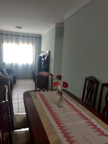 imagem 3 - Apartamento - Padrão imagem 3 - Apartamento - Padrão