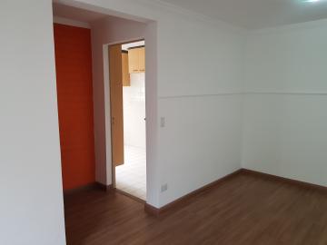 imagem 5 - Apartamento - Padrão imagem 5 - Apartamento - Padrão