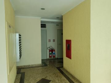 imagem 3 - Apartamento - Padrão imagem 3 - Apartamento - Padrão