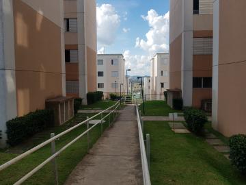imagem 2 - Apartamento - Padrão imagem 2 - Apartamento - Padrão