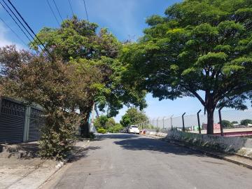 Alugar Casa / Terrea em Osasco R$ 730,00 - Foto 4 Alugar Casa / Terrea em Osasco R$ 730,00 - Foto 4