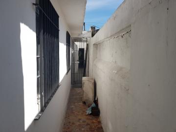 Alugar Casa / Terrea em Osasco R$ 730,00 - Foto 23 Alugar Casa / Terrea em Osasco R$ 730,00 - Foto 23