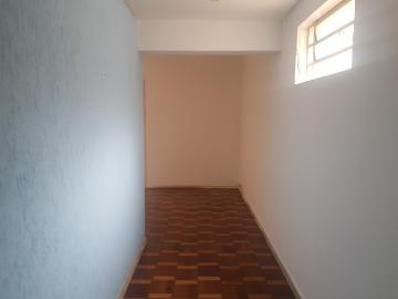 imagem 5 - Comercial - Conjunto imagem 5 - Comercial - Conjunto
