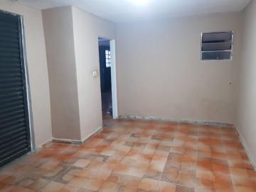 Alugar Casa / Terrea em Osasco R$ 700,00 - Foto 8 Alugar Casa / Terrea em Osasco R$ 700,00 - Foto 8