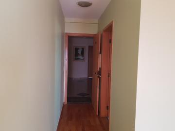 Alugar Apartamento / Padrão em Osasco R$ 3.800,00 - Foto 16 Alugar Apartamento / Padrão em Osasco R$ 3.800,00 - Foto 16
