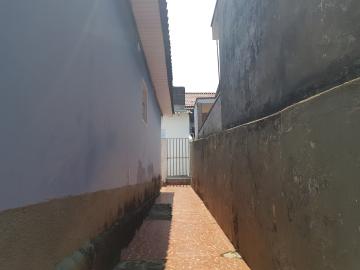 Alugar Casa / Terrea em Osasco R$ 800,00 - Foto 2 Alugar Casa / Terrea em Osasco R$ 800,00 - Foto 2