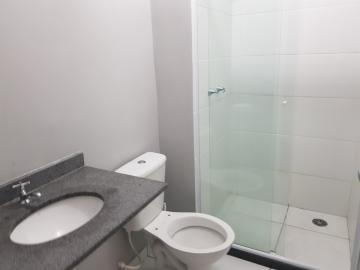 Alugar Apartamento / Padrão em Osasco R$ 1.500,00 - Foto 14 Alugar Apartamento / Padrão em Osasco R$ 1.500,00 - Foto 14
