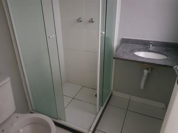 Alugar Apartamento / Padrão em Osasco R$ 1.500,00 - Foto 13 Alugar Apartamento / Padrão em Osasco R$ 1.500,00 - Foto 13