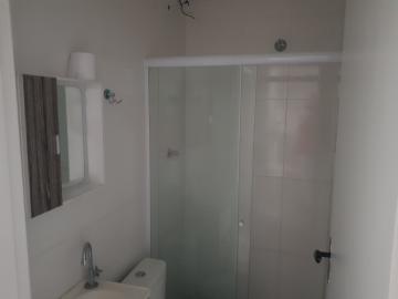 Alugar Apartamento / Padrão em São Paulo R$ 1.500,00 - Foto 14 Alugar Apartamento / Padrão em São Paulo R$ 1.500,00 - Foto 14