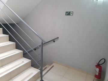 Alugar Apartamento / Padrão em São Paulo R$ 1.500,00 - Foto 24 Alugar Apartamento / Padrão em São Paulo R$ 1.500,00 - Foto 24