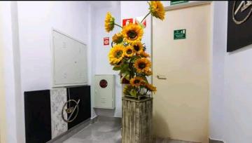 Comprar Apartamento / Padrão em Osasco R$ 460.000,00 - Foto 31 Comprar Apartamento / Padrão em Osasco R$ 460.000,00 - Foto 31