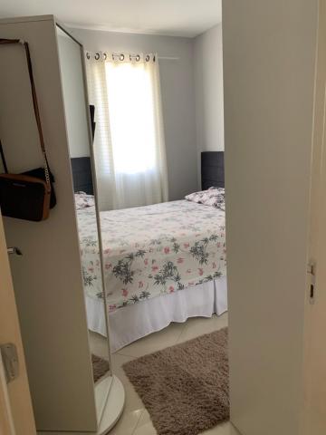 Comprar Apartamento / Padrão em Carapicuíba R$ 250.000,00 - Foto 8 Comprar Apartamento / Padrão em Carapicuíba R$ 250.000,00 - Foto 8