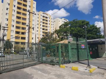 Alugar Apartamento / Padrão em São Paulo R$ 1.800,00 - Foto 20 Alugar Apartamento / Padrão em São Paulo R$ 1.800,00 - Foto 20