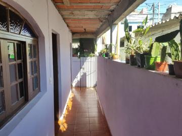 Alugar Casa / Terrea em Osasco R$ 750,00 - Foto 3 Alugar Casa / Terrea em Osasco R$ 750,00 - Foto 3