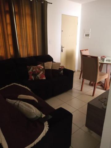Comprar Apartamento / Padrão em Cotia R$ 160.000,00 - Foto 13 Comprar Apartamento / Padrão em Cotia R$ 160.000,00 - Foto 13