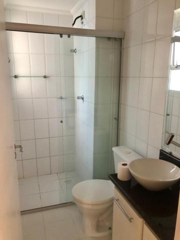 Alugar Apartamento / Padrão em São Paulo R$ 1.600,00 - Foto 14 Alugar Apartamento / Padrão em São Paulo R$ 1.600,00 - Foto 14