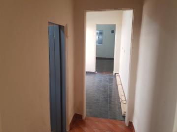 Alugar Casa / Terrea em Osasco R$ 800,00 - Foto 8 Alugar Casa / Terrea em Osasco R$ 800,00 - Foto 8