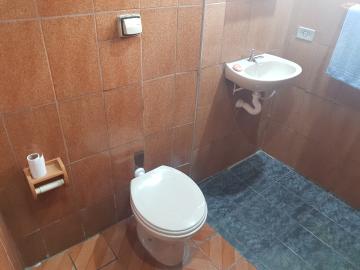 Alugar Casa / Terrea em Osasco R$ 800,00 - Foto 14 Alugar Casa / Terrea em Osasco R$ 800,00 - Foto 14