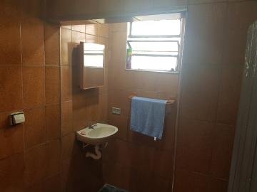 Alugar Casa / Terrea em Osasco R$ 800,00 - Foto 15 Alugar Casa / Terrea em Osasco R$ 800,00 - Foto 15