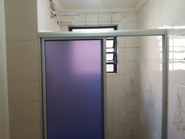Alugar Apartamento / Padrão em Osasco R$ 950,00 - Foto 14 Alugar Apartamento / Padrão em Osasco R$ 950,00 - Foto 14