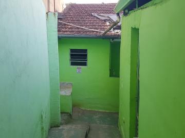 Alugar Casa / Terrea em Osasco R$ 500,00 - Foto 14 Alugar Casa / Terrea em Osasco R$ 500,00 - Foto 14