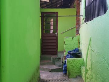 Alugar Casa / Terrea em Osasco R$ 500,00 - Foto 17 Alugar Casa / Terrea em Osasco R$ 500,00 - Foto 17