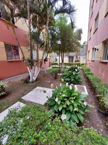 Comprar Apartamento / Padrão em Osasco R$ 165.000,00 - Foto 20 Comprar Apartamento / Padrão em Osasco R$ 165.000,00 - Foto 20