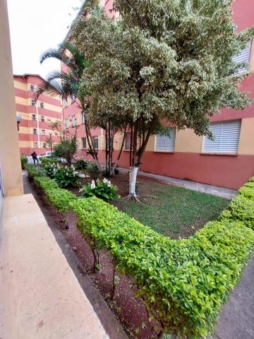 Comprar Apartamento / Padrão em Osasco R$ 155.000,00 - Foto 18 Comprar Apartamento / Padrão em Osasco R$ 155.000,00 - Foto 18