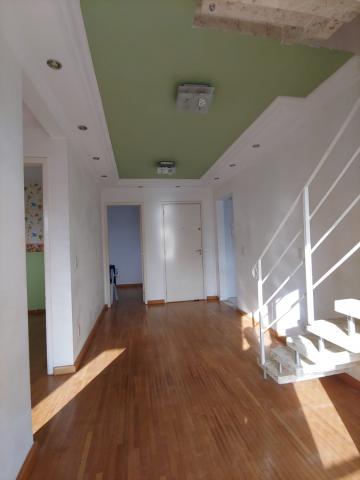 imagem 3 - Apartamento Duplex com suíte e quintal - Jardim Conceição imagem 3 - Apartamento Duplex com suíte e quintal - Jardim Conceição