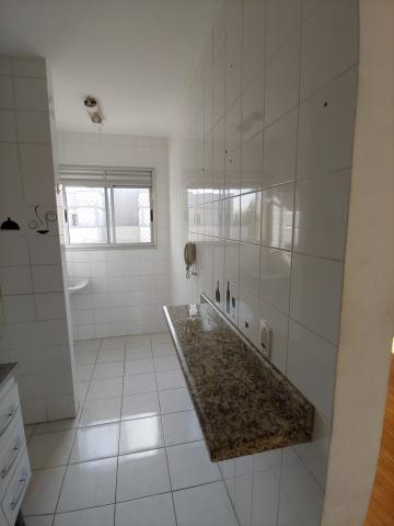 imagem 5 - Apartamento Duplex com suíte e quintal - Jardim Conceição imagem 5 - Apartamento Duplex com suíte e quintal - Jardim Conceição