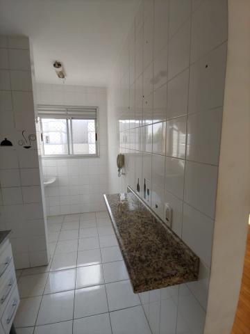 Apartamento Duplex com suíte e quintal - Jardim Conceição