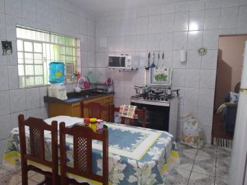 imagem 5 - Casa  de 02 dormitórios no jardim Padroeira. imagem 5 - Casa  de 02 dormitórios no jardim Padroeira.