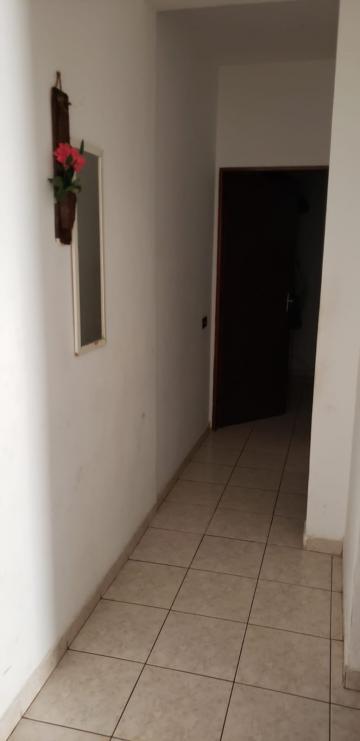 imagem 3 - CASA AMPLA - JARDIM ELVIRA com 3 Dormitórios - garagem para 2 carros imagem 3 - CASA AMPLA - JARDIM ELVIRA com 3 Dormitórios - garagem para 2 carros