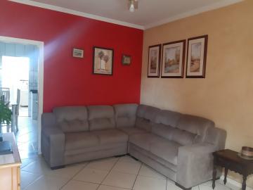 imagem 2 - Casa Conceição Osasco imagem 2 - Casa Conceição Osasco