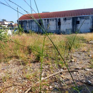 imagem 4 - Terreno  comercial de 333,52 m³. imagem 4 - Terreno  comercial de 333,52 m³.