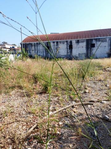 imagem 5 - Terreno  comercial de 333,52 m³. imagem 5 - Terreno  comercial de 333,52 m³.