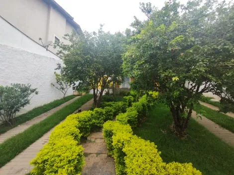 imagem 5 - Excelente casa a venda bela Vista Osasco imagem 5 - Excelente casa a venda bela Vista Osasco