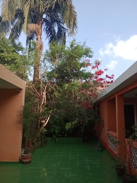 imagem 4 - Casa Térrea Jd ` Abril imagem 4 - Casa Térrea Jd ` Abril