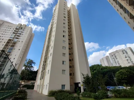Osasco Umuarama Apartamento Locacao R$ 2.200,00 Condominio R$406,95 2 Dormitorios 1 Vaga 