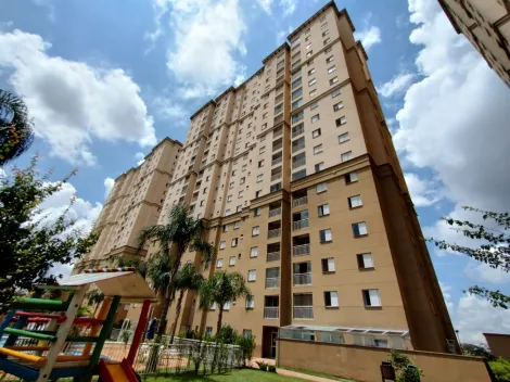 Osasco - Santo Antônio - Apartamento - Padrão - Locaçao