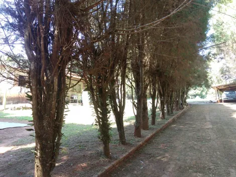 imagem 3 - Terreno - Terreno imagem 3 - Terreno - Terreno