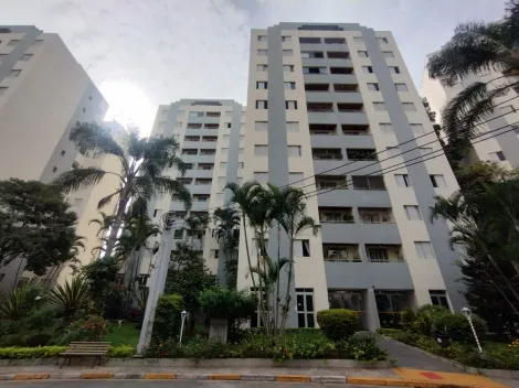 Alugar Apartamento / Padrão em São Paulo. apenas R$ 1.400,00