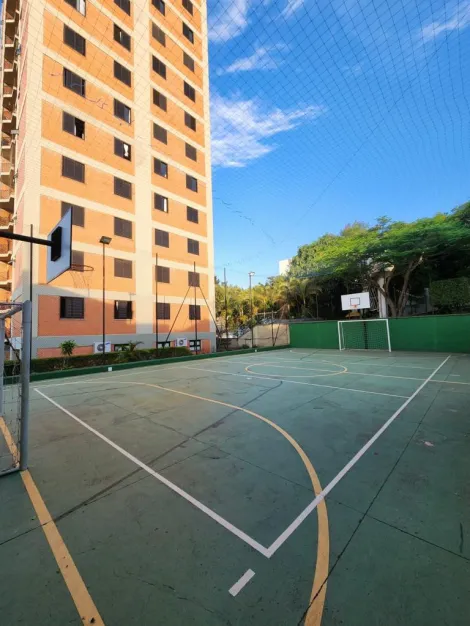 imagem 3 - Apartamento - Padrão imagem 3 - Apartamento - Padrão