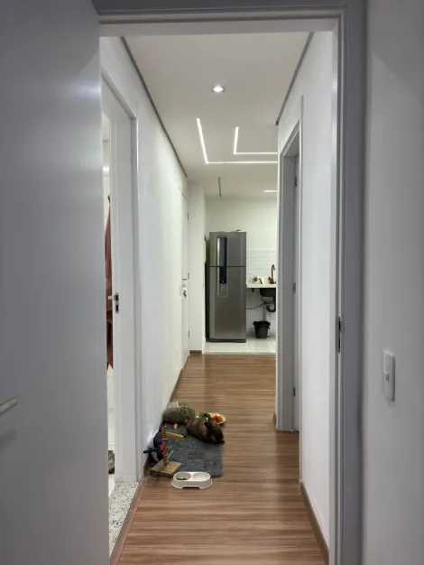 imagem 5 - Apartamento - Padrão imagem 5 - Apartamento - Padrão