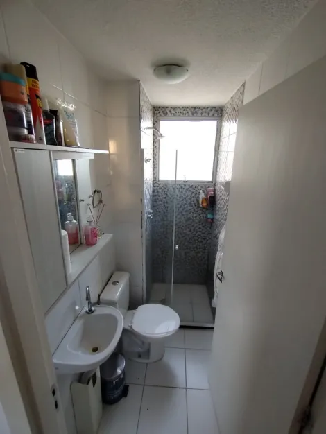 imagem 3 - Apartamento - Padrão imagem 3 - Apartamento - Padrão
