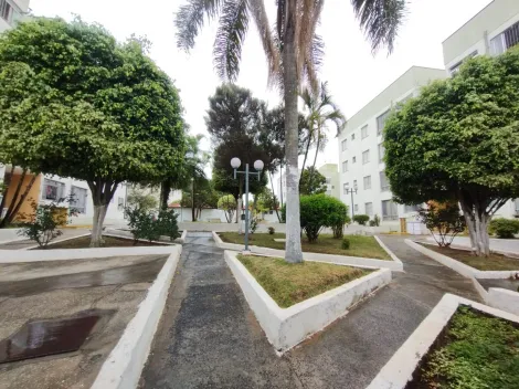 imagem 3 - Apartamento - Padrão imagem 3 - Apartamento - Padrão