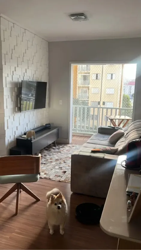 imagem 1 - Apartamento - Padrão imagem 1 - Apartamento - Padrão