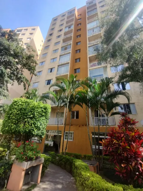 imagem 1 - Apartamento para locação  -  2 quartos - Jd. Piratininga  -  pronto para morar imagem 1 - Apartamento para locação  -  2 quartos - Jd. Piratininga  -  pronto para morar