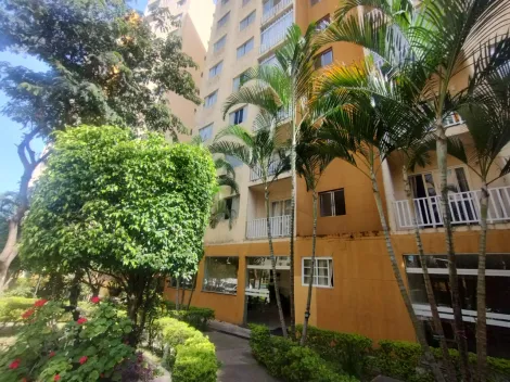 imagem 2 - Apartamento para locação  -  2 quartos - Jd. Piratininga  -  pronto para morar imagem 2 - Apartamento para locação  -  2 quartos - Jd. Piratininga  -  pronto para morar